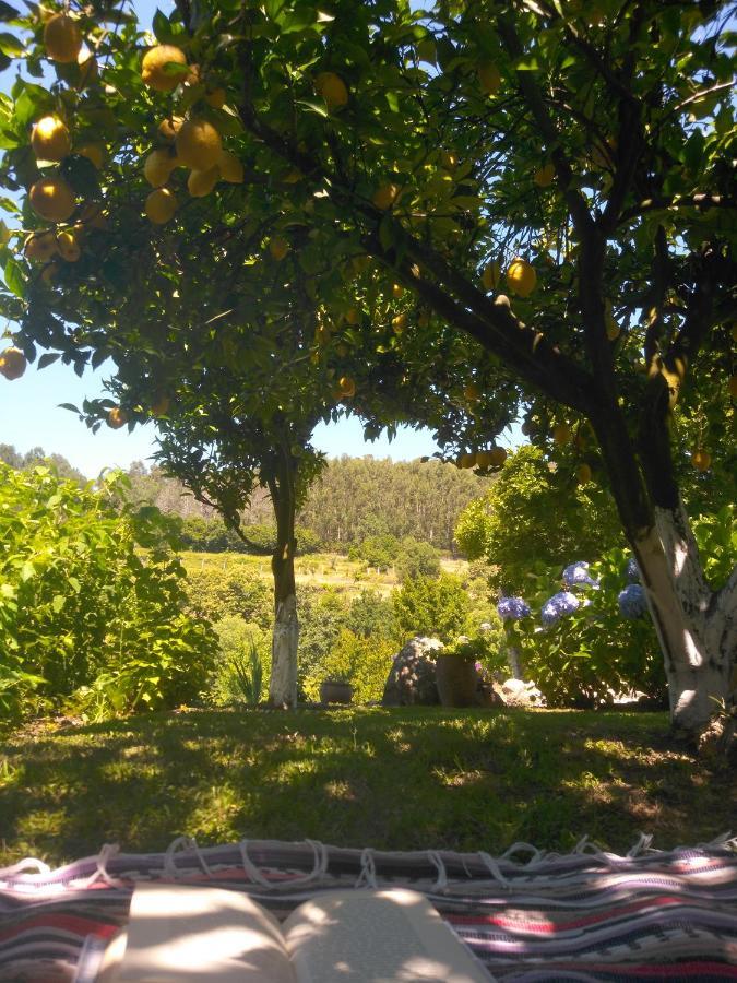 פארדס דה קורה Quinta Da Chanca מראה חיצוני תמונה