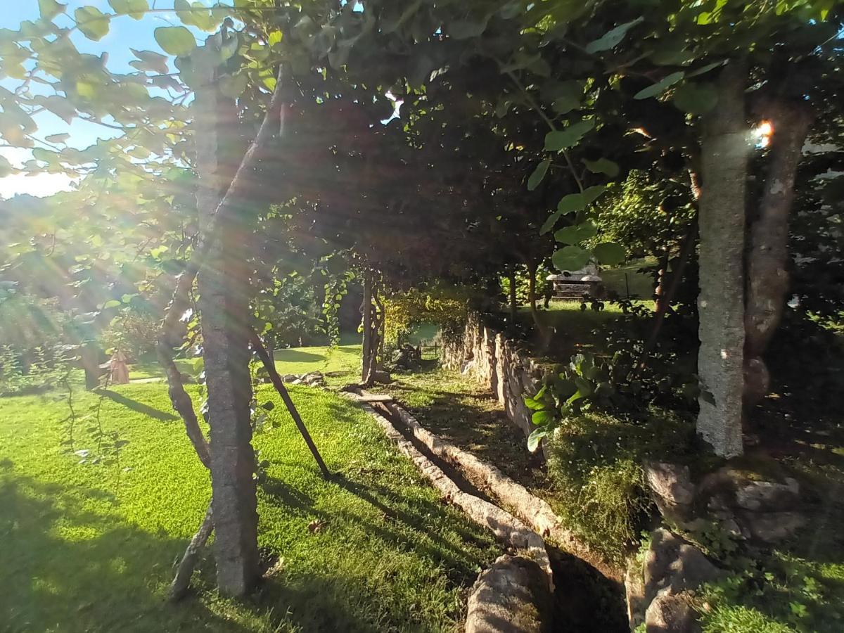 פארדס דה קורה Quinta Da Chanca מראה חיצוני תמונה