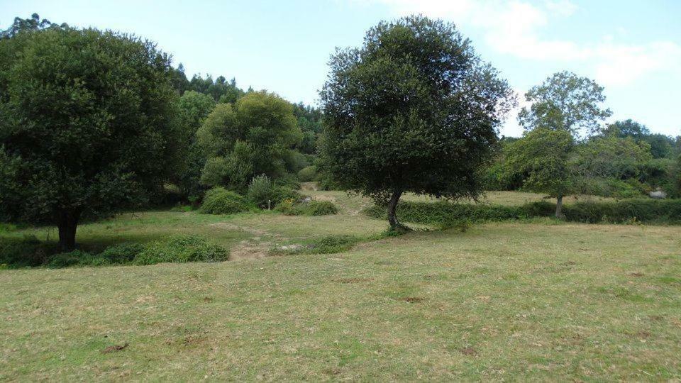 פארדס דה קורה Quinta Da Chanca מראה חיצוני תמונה
