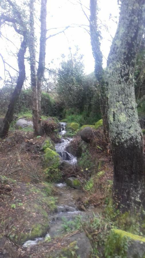 פארדס דה קורה Quinta Da Chanca מראה חיצוני תמונה