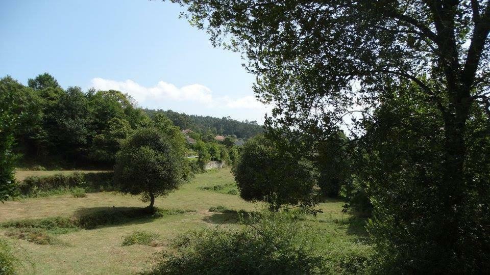 פארדס דה קורה Quinta Da Chanca מראה חיצוני תמונה