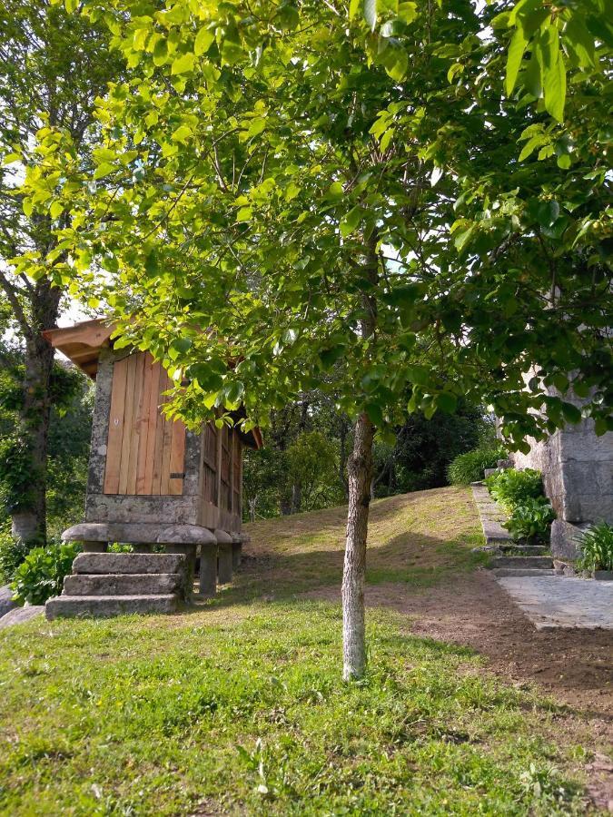 פארדס דה קורה Quinta Da Chanca מראה חיצוני תמונה